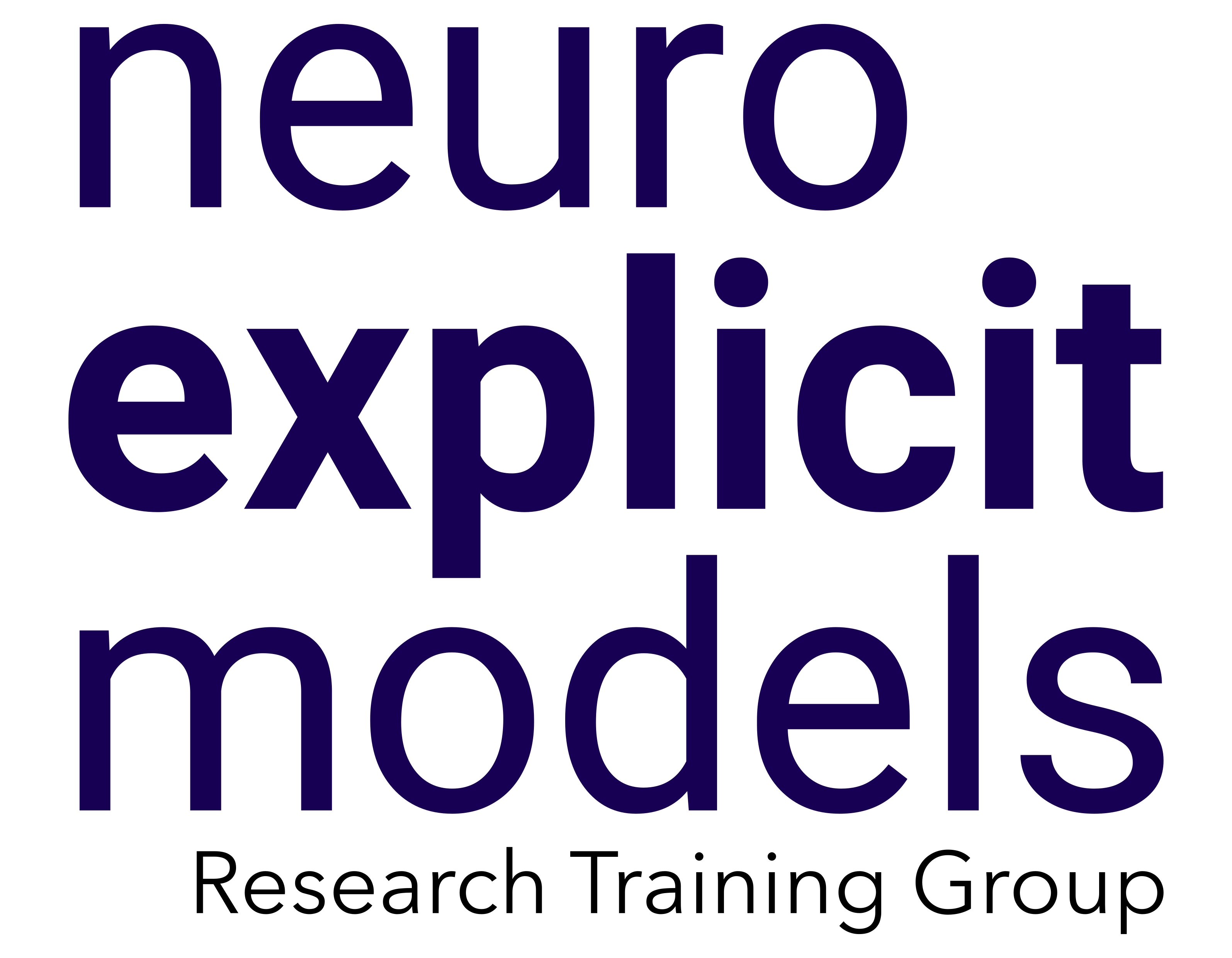RTG Neuroexplicit Models
